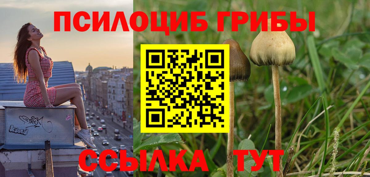 Ханты-Мансийск  Галлюциногенные грибы MAGIC MUSHROOMS  Вход с VPN 